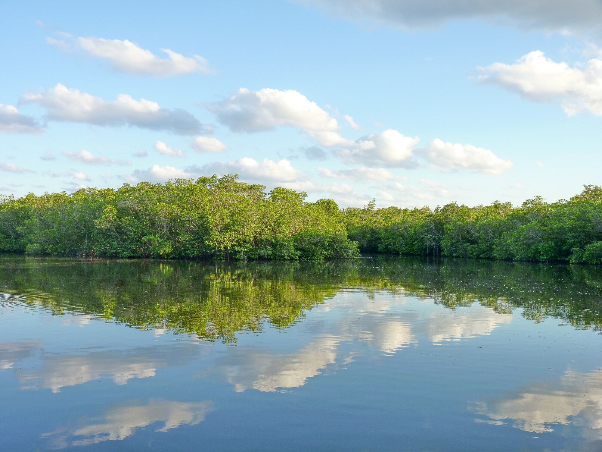 Click to See Next Image